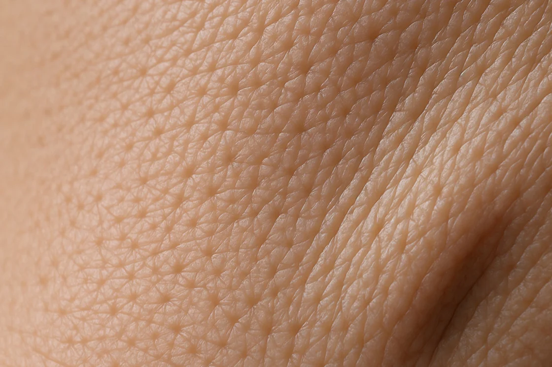mediTALK: Mythos oder Medizin? Fundiertes Wissen für gesunde Haut