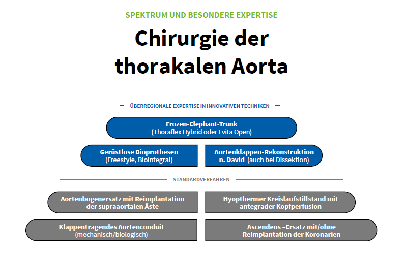 Chirurgie der thorakalen Aorta