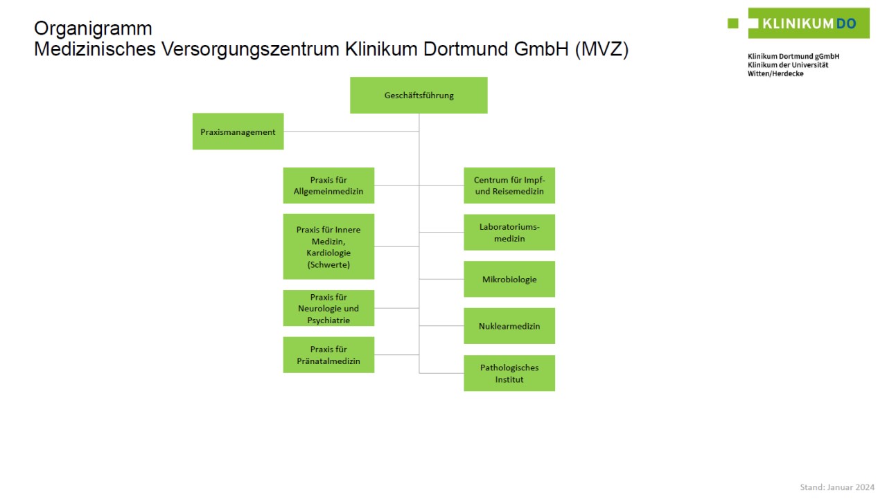 Organigramm Medizinisches Versorgungszentrum Klinikum Dortmund GmbH